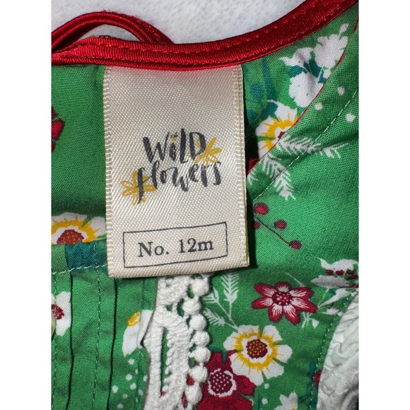 Wildflowers Clothing Co Girls Happy Go Lucky Festive Fern Floral Dress Green 12M - Picture 4 of 6